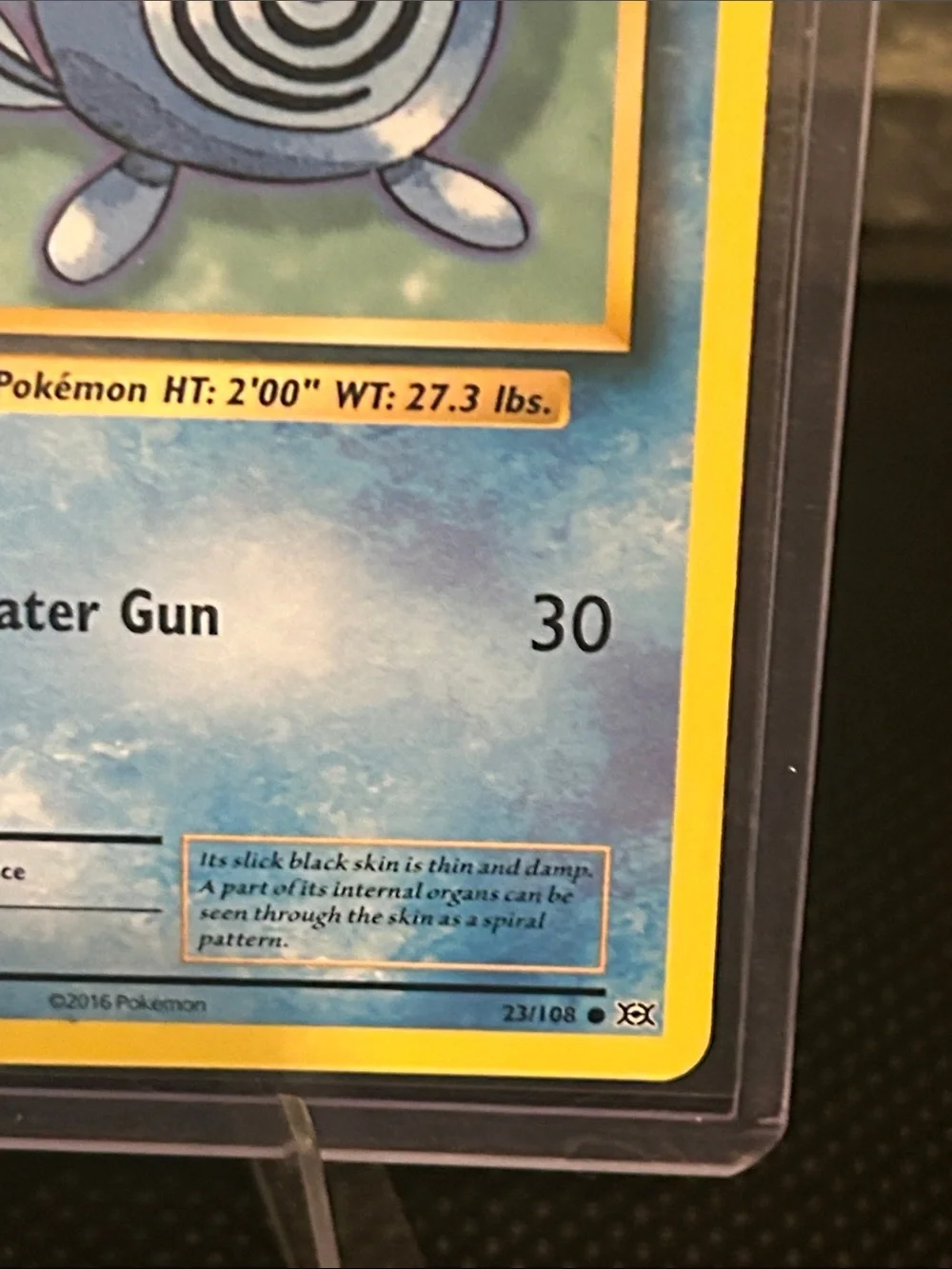 Pokémon Poliwag 23/108 Non-Holo from XY‎ Evolutions Set Vintage (2016) M/NM